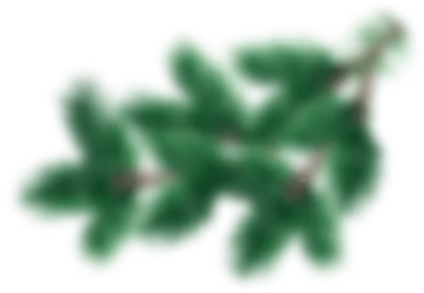Гілка